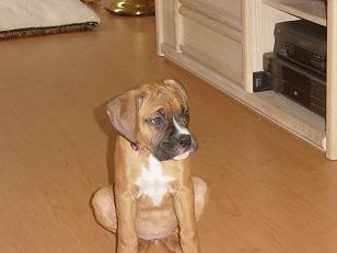 Mangus_2007-03-12