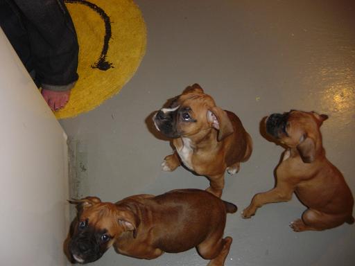 Mangus_2_Sibs_002