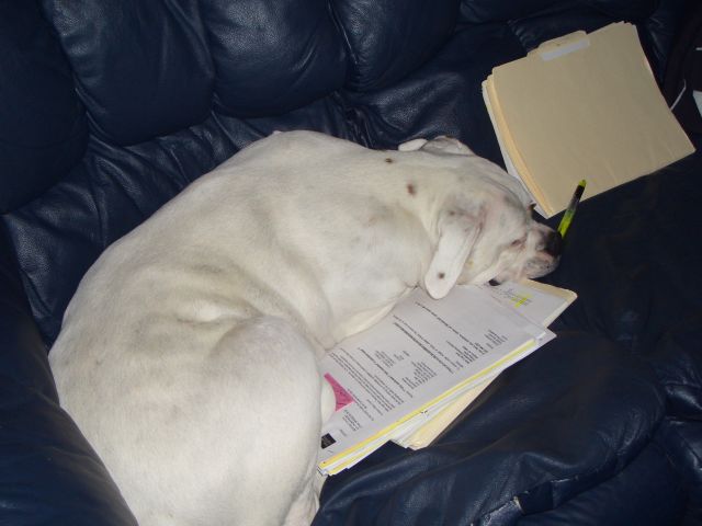 Manny helps mom work....