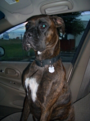 Mara along for the ride