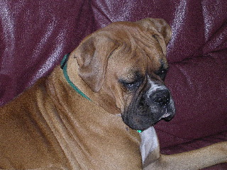 Marcella at 13 months