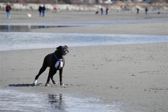 march_2011_053_Small_