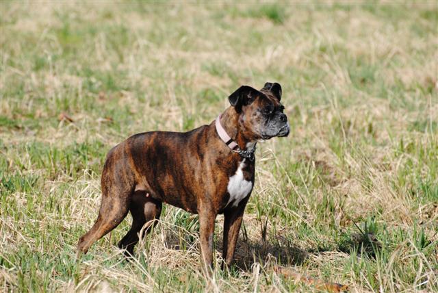 march_2011_161_Small_