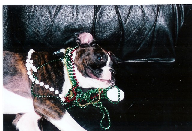 Mardi Gra?