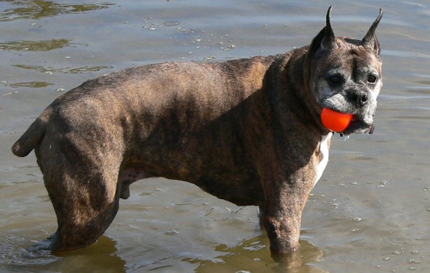 Markus Enjoying the Water