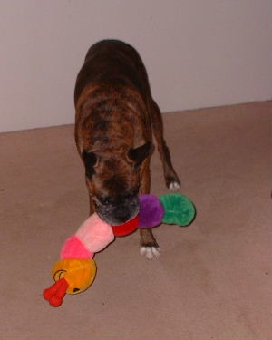 Markus With His Favorite Toy