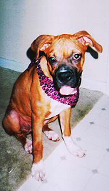 Marley Grace