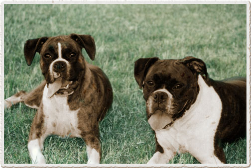 Marley & Raven