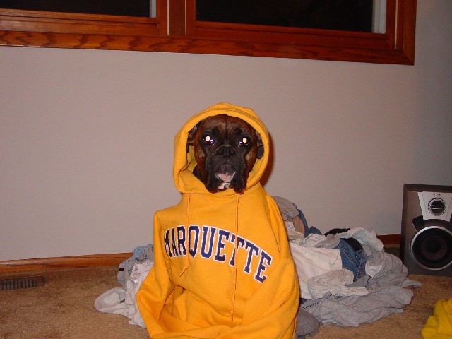 Marquette Banshee