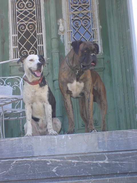 Martin and Boulou