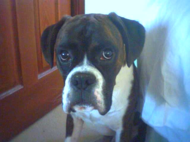 Marvin_3
