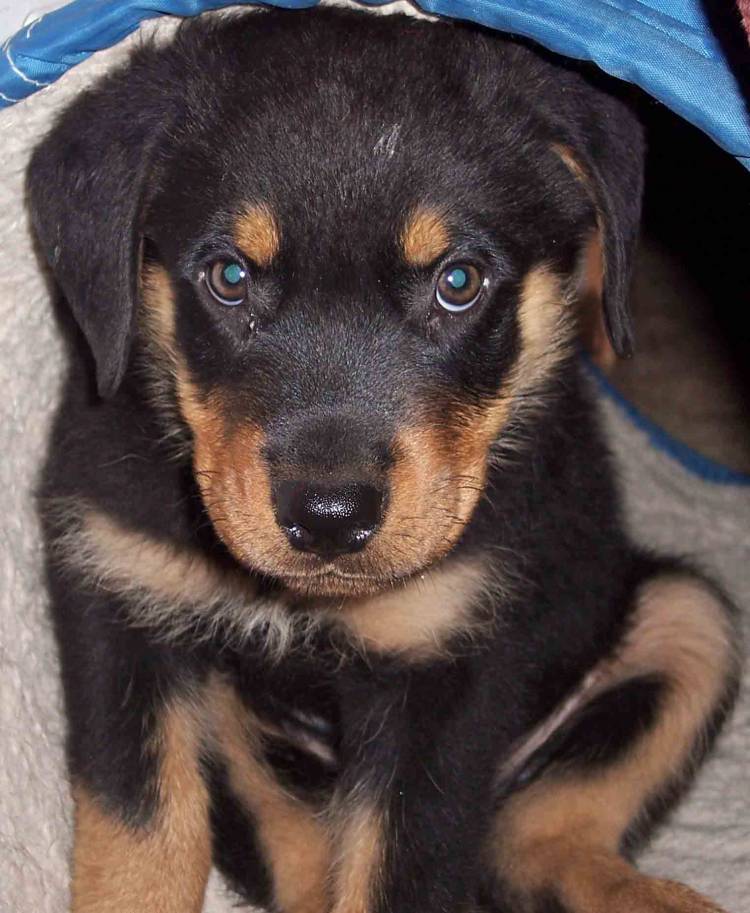 Mason #2