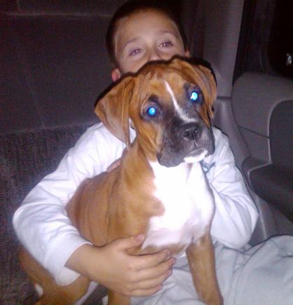 Mason and Laila