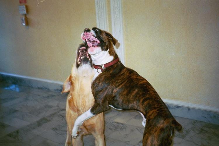 Mason & Brugle singing!