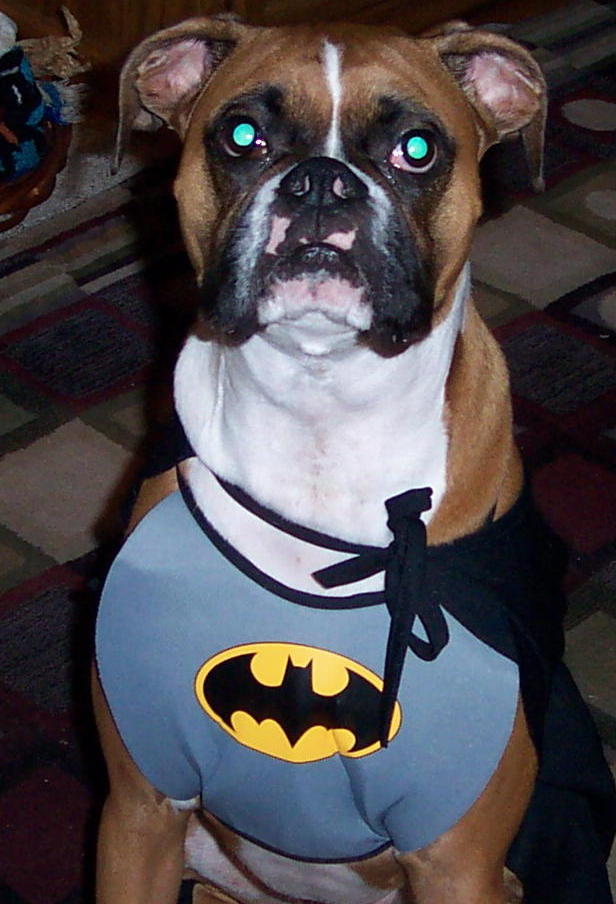 Mason @ Halloween