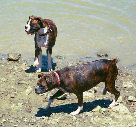 Mason & Nikki coming out of the water