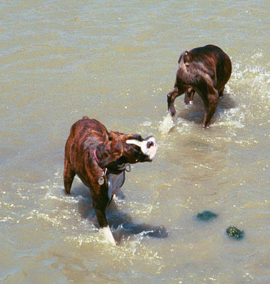 Mason & Nikki cool off