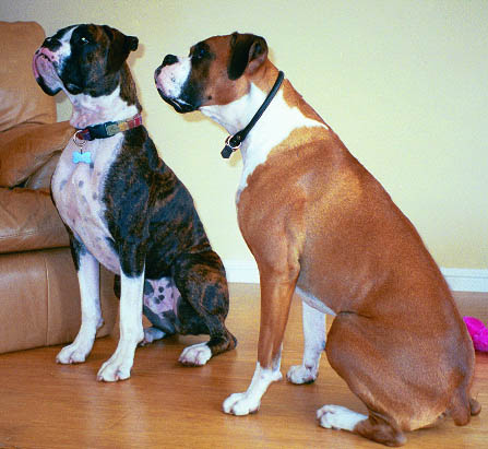 Mason & Sampson posing