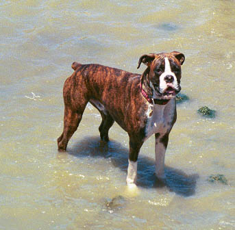 Mason the waterbaby