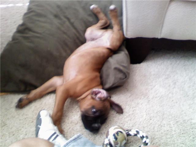 Mason2