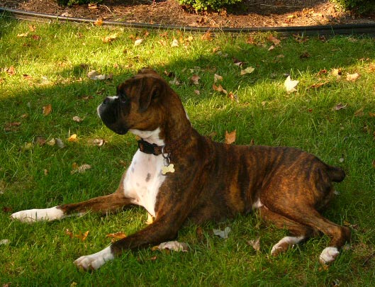 Master of his domaine