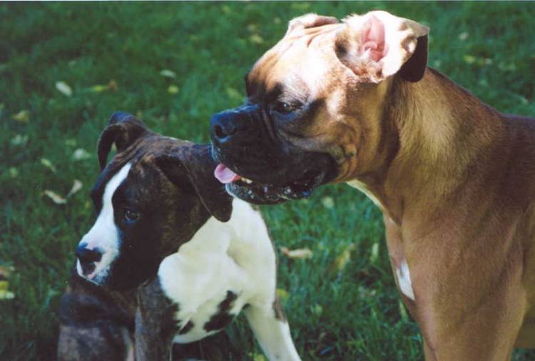 Mateus and Taya