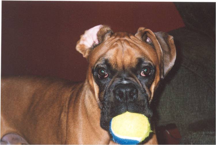 Mateus & his ball