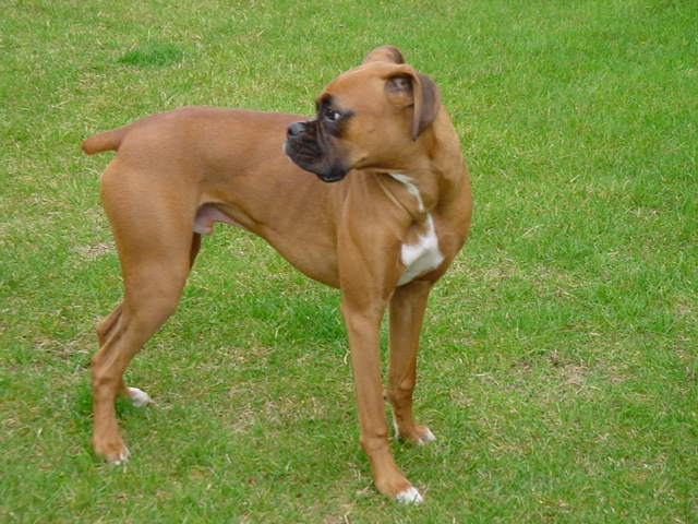 Mateus outside