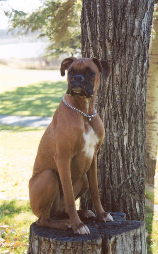 Mateus posing for me