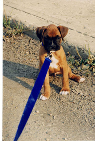 Mateus_first_walk