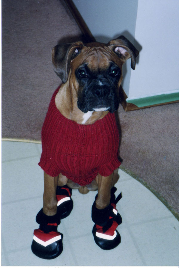 Mateus_red_sweater