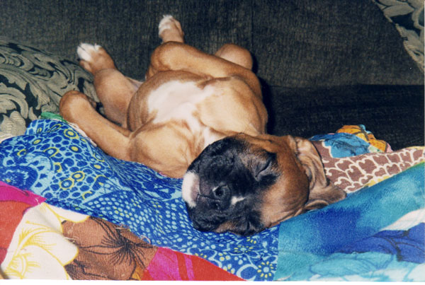 Mateus_sleeping_2