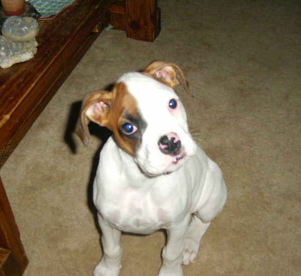 Matilda 11 weeks