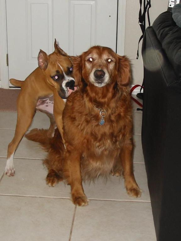 Mattie and Chewy