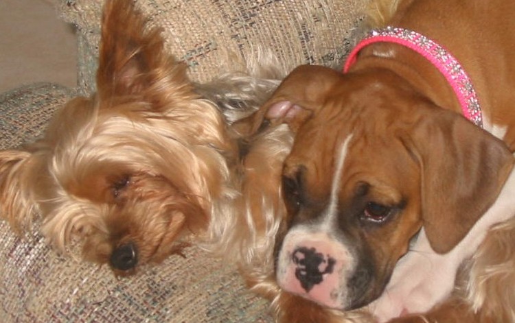 Mattie and Toby
