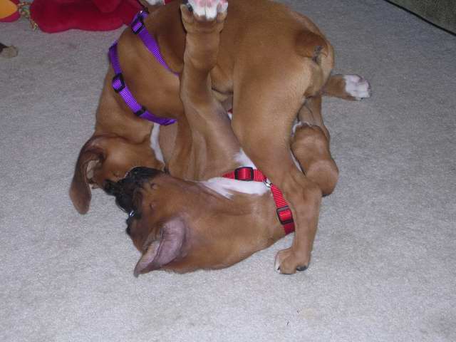 Maverick and Macie (his girlfirend)