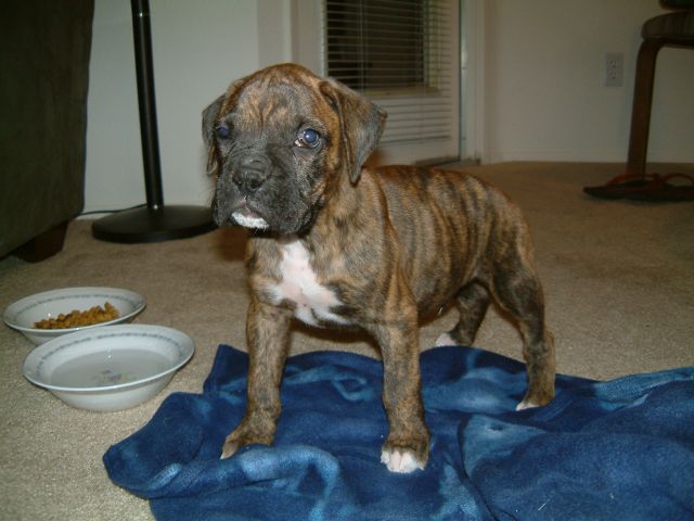 Mavericks first night home.