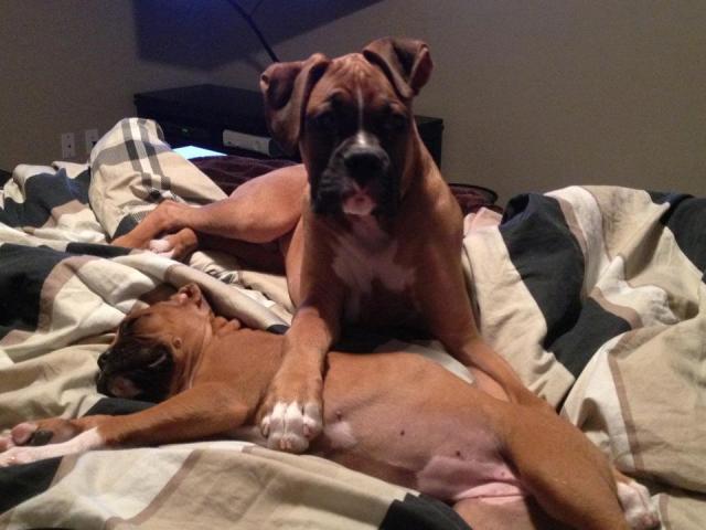 Max and Chloe