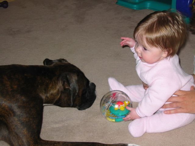 Max and Gracie playing ball