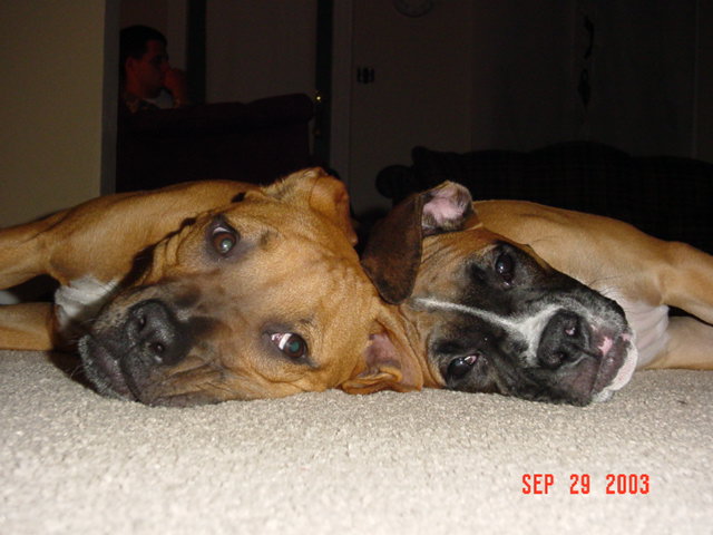 Max and Harlie posing