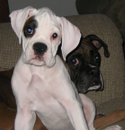 Max and Lilly