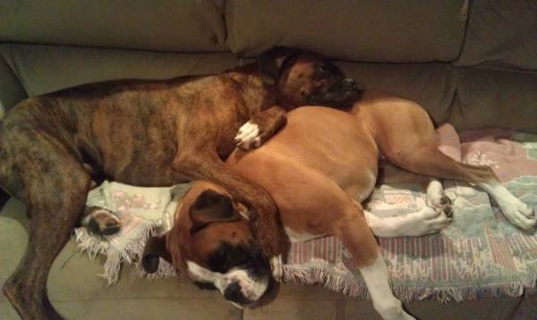 Max and Neo
