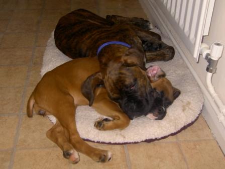 max and roxy