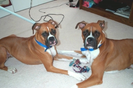 Max and Sissy