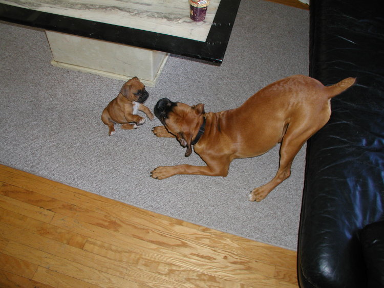 Max and Sumi