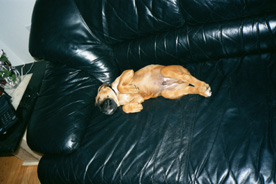 Max at 10 weeks