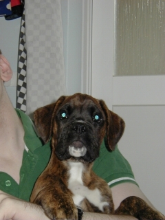 Max at 11 weeks