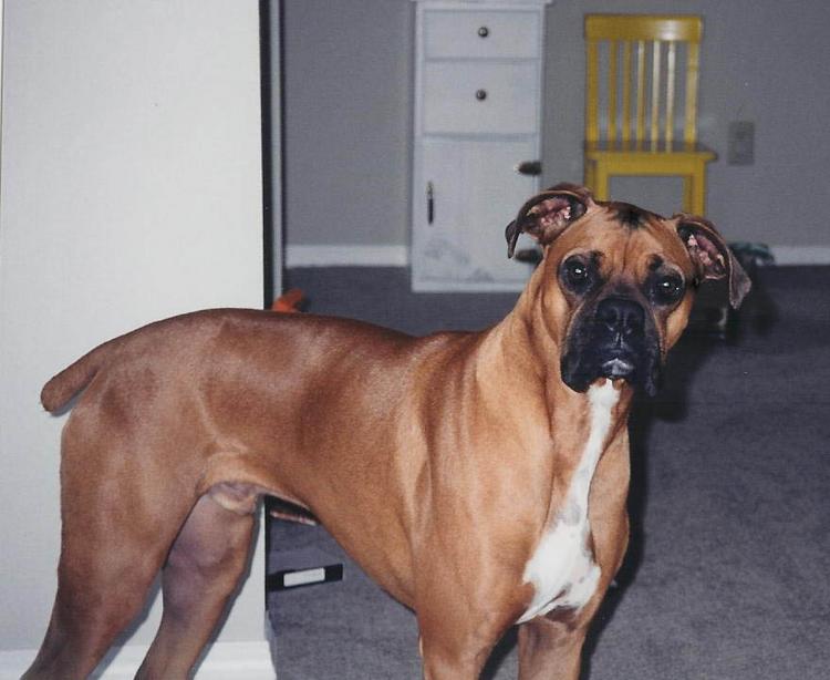 Max at 2 years