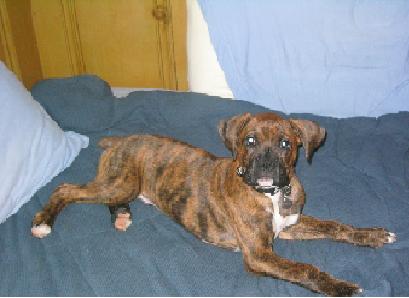 Max at 3 1/2 months