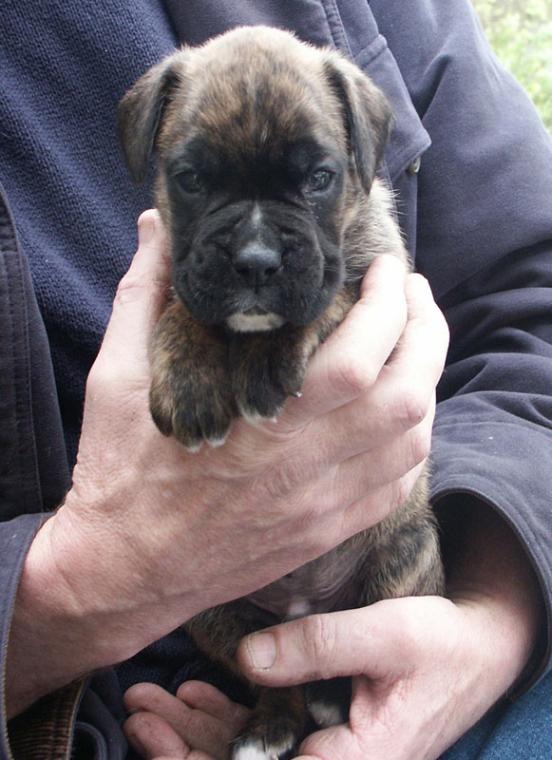 Max at 4 weeks old